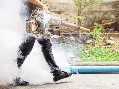 About Ants & Rodents Pest Control Pasadena - pest control experts in Pasadena